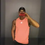 Summer New Men's Tactical Sports Mesh Sleeveless Vest Men's Gym Running Equipment Training Muscle Sports Breathable T-shirt